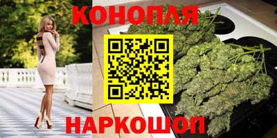 стаф Ставрополь
