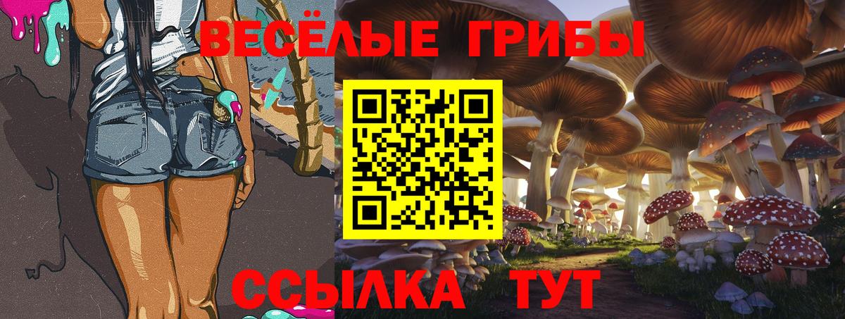 Сосновый Бор  Псилоцибиновые грибы мицелий  Вход с VPN 