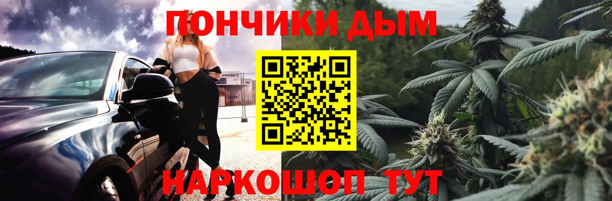 Бошки Шишки ГИДРОПОН Сосновый Бор